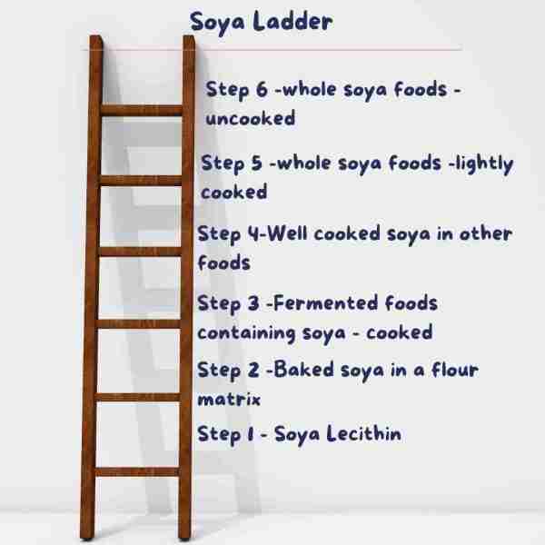 The Ultimate Guide to the Soya Ladder Dietitian With a Difference