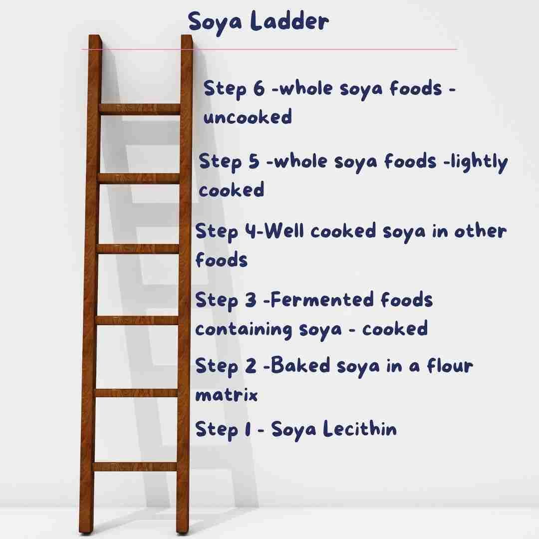 Soya ladder